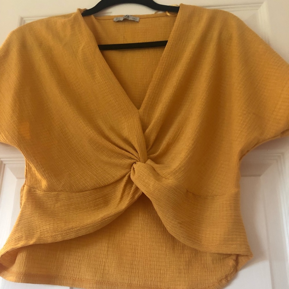 Zara crop top